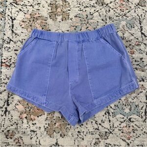 Billabong Purple Shorts | S